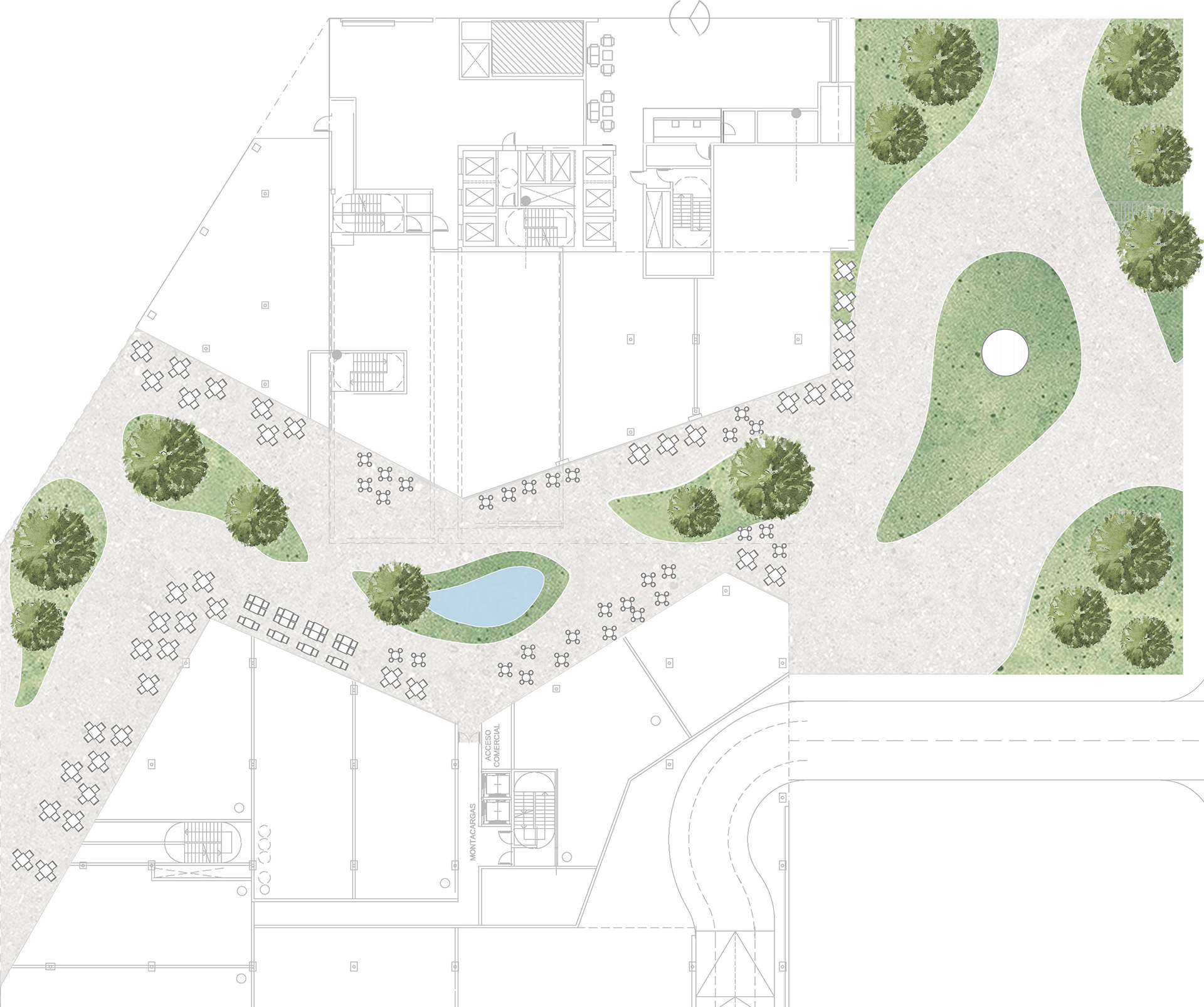 Hojas de Biodiversidad