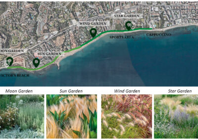 Waves of Biodiversity