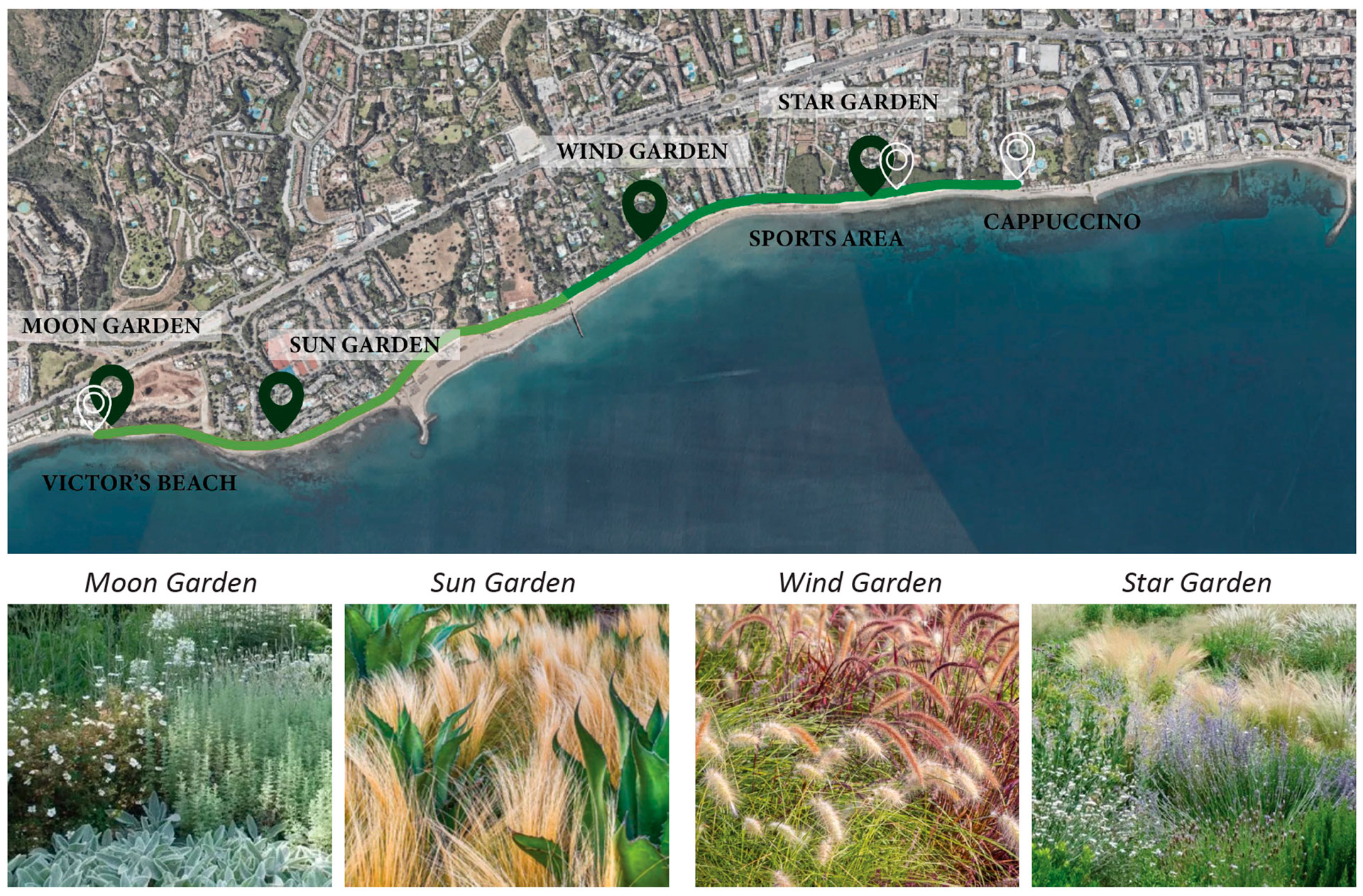 Waves of Biodiversity