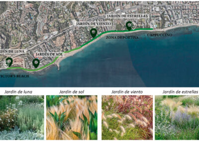 Olas de Biodiversidad